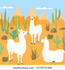 Llamas in the wild. Desert with cacti. Cactus. The mountains.