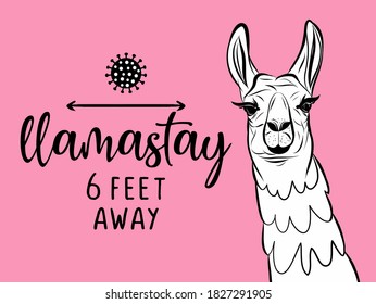 Llamastay (llama stay / namaste) 6 feet away - Lettering typography poster with text for self quarine times. Hand letter script motivation sign catch word art design. Vintage style llama illustration.