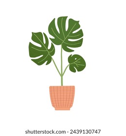 lllustration with house plant Monstera. Natural green home decor. Flat vector illustration isolated on white background