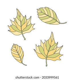 llustraItion con hojas de otoño. Conjunto de vectores para el diseño de postal de otoño, tarjeta, invitación, afiche, anuncio.