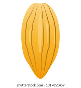 llustration of the cacao beans
