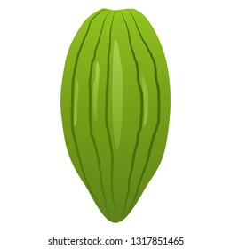 llustration of the cacao beans