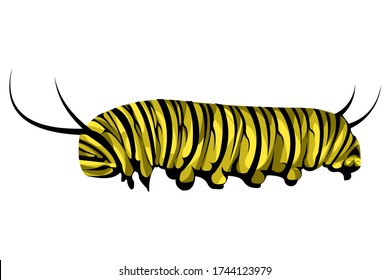 Llustration Of Caterpillar In Vector Style
