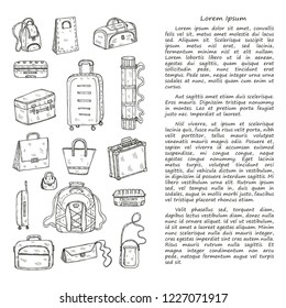 llustration with cute hand drawn baggage icons. Different types of travel bags. Vector collection