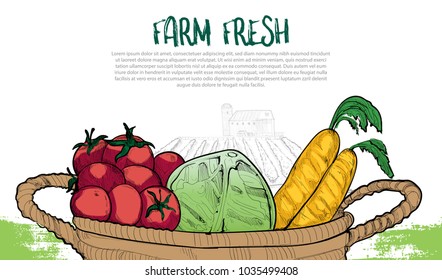 llustration of Healthy food in basket. farm fresh background