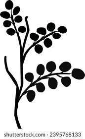 llustration of a Moringa leaf twig