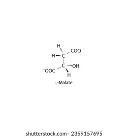 L-malate Dicarboxylic Acid - intermediate in energy metabolism Molecular structure skeletal formula on white background.