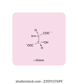 L-malate Dicarboxylic Acid - intermediate in energy metabolism Molecular structure skeletal formula on pink background.