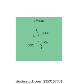 L-malate Dicarboxylic Acid - intermediate in energy metabolism Molecular structure skeletal formula on green background.