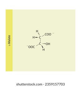 L-malate Dicarboxylic Acid - intermediate in energy metabolism Molecular structure skeletal formula on yellow background.