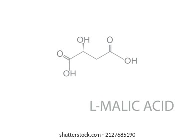 L-malic acid molecular skeletal chemical formula.	Vector illustration.