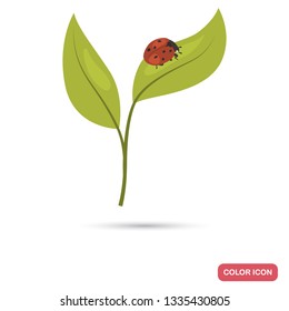 LOadybug on a sprout color flat icon for web and mobile design