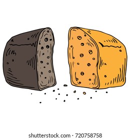 Loaf Of Bread Cut In Half. Bread With Crumbs. Vector Illustration.