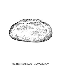 Loaf of bread vector illustration in a hand-drawn style. Rustic cartoon design of fresh bread with a crust, isolated on a white background