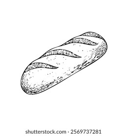 Loaf of bread vector illustration in a hand-drawn style. Rustic cartoon design of fresh bread with a crust, isolated on a white background