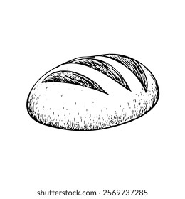 Loaf of bread vector illustration in a hand-drawn style. Rustic cartoon design of fresh bread with a crust, isolated on a white background