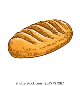 Loaf of bread vector illustration in a hand-drawn style. Rustic cartoon design of fresh bread with a crust, isolated on a white background