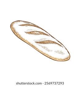 Loaf of bread vector illustration in a hand-drawn style. Rustic cartoon design of fresh bread with a crust, isolated on a white background