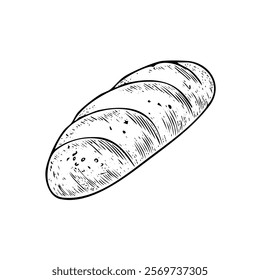 Loaf of bread vector illustration in a hand-drawn style. Rustic cartoon design of fresh bread with a crust, isolated on a white background