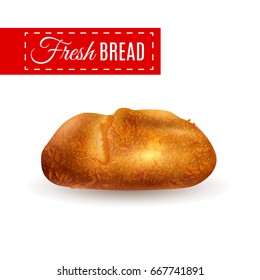 Loaf, vector illustration, realistic