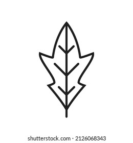 lobed leaf line icon. oak, botanical and nature symbol. isolated vector image in simple style