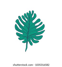 Lobed Tropical Leaf Hand Drawn Illustration