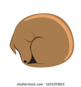 A lobrador as a character is sleeping in a ringlet. Simple minimalistic vector stock illustration with a domestic dog isolated on white background as a concept of homeless and humane treatment of anim