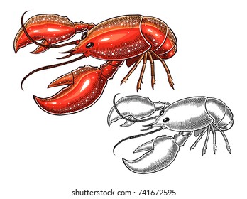 lobster