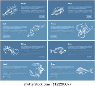 Lobster and bass fish posters set with headlines. Marine life and unprepared food ingredients. Clam and octopus, eel and shrimp vector illustration