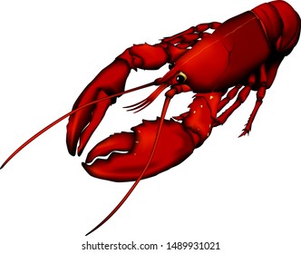 'Lobster' (boiled) illustration. Vector EPS format.
