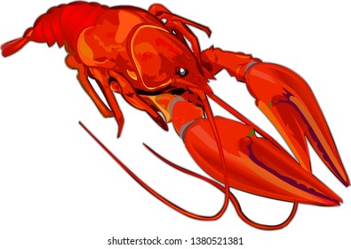 Lobster boiled vector illustration isolated on white