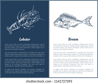 Lobster and bream fish posters with monochrome outline sketches. Seafood unprepared ingredients of dishes. Crustacean animal, vector illustration