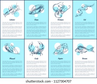 Lobster and bream fish set. Posters with additional info and animals of sea. Crab and oyster, mollusk and eel octopus and clam vector illustration