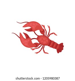 Lobster with bright red shell and long antennae. Crayfish with large claws. Marine creature. Sea animal. Flat vector design