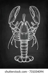 Lobster. Chalk sketch on blackboard background. Hand drawn vector illustration. Retro style.