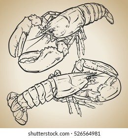 Lobster with claws on a vintage background. Seafood. Drawing. 