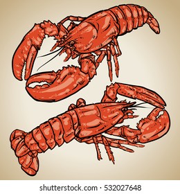 Lobster with claws on a vintage background. Seafood. Drawing. 