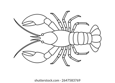 Ilustração do vetor da página da coloração da lagosta, esboço de lagostins desenhados à mão para atividades de crianças e adultos temáticas do oceano