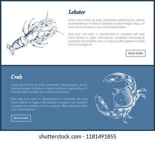 Lobster and crab seafood double color graphic. Hand drawn set, decorative icons of ocean crustacean restaurant menu vector vintage template sketch.