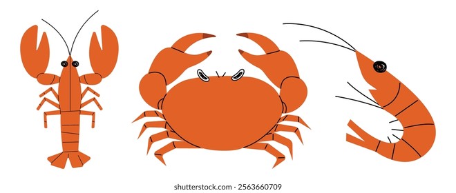 Lobster, Crab and Shrimp 1 cute on a White background, vector illustration.