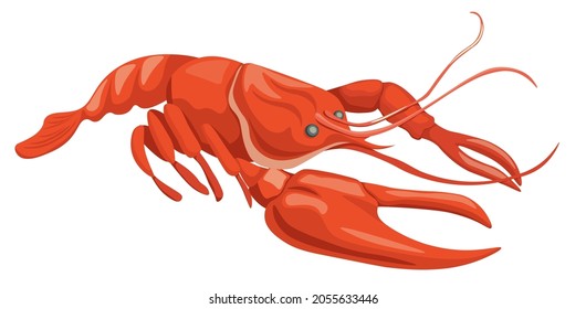 Lobster, Crawfish or Crayfish Underwater Animal, Raw Seafood for Restaurant. Crustacean Wild Creature With Claws, Red Langouste Design Element Isolated on White Background. Cartoon Vector Illustration