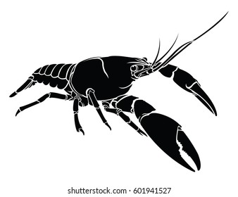 Lobster, crayfish, cancer icon. Vector illustration. Logo, graphics.