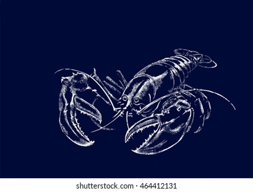 Lobster (crayfish, crawfish) with claws on a dark blue background. Seafood. Drawing. 