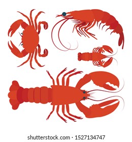 Lobster, crayfish and shrimp realistic vector illustration. Underwater life. Seafood. Part of set.