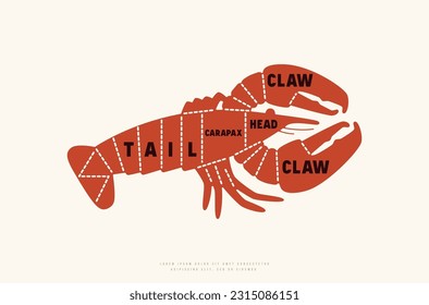 Diagrama de cortes de langosta en silueta. Impresión de color sobre fondo blanco