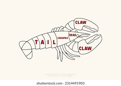 Diagrama de cortes de langosta en línea delgada. Impresión de color sobre fondo blanco
