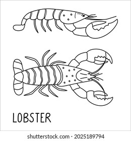 Lobster doodle illustration isolated on a white background. Delicious seafood. Black and white vector. Perfect for menu decoration
