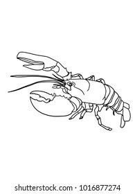   lobster drawing sketch