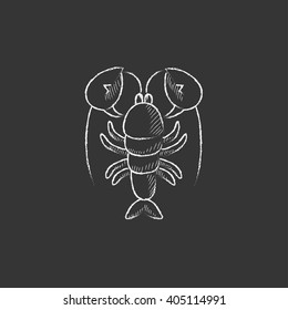 Lobster. Drawn in chalk icon.