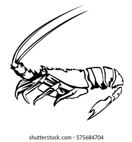 Lobster emblem vector illustration isolated on white background. Fresh seafood icon of shrimp